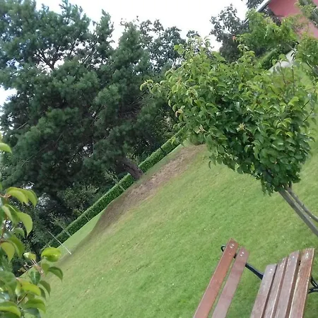 Riccardo * Pelczyce (Choszczno)